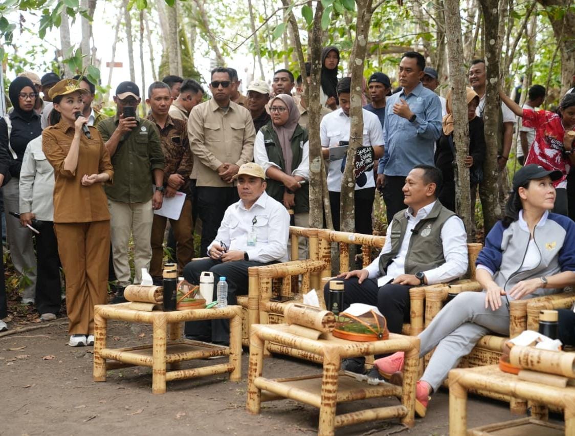 Terobosan Baru, Maluku Utara Luncurkan Pilot Project Perhutanan Sosial ...